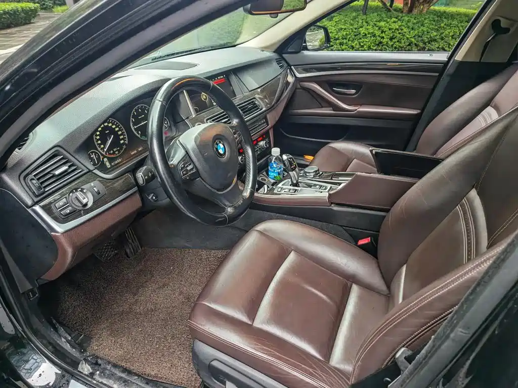 BMW 5 Series New Energy 2015
