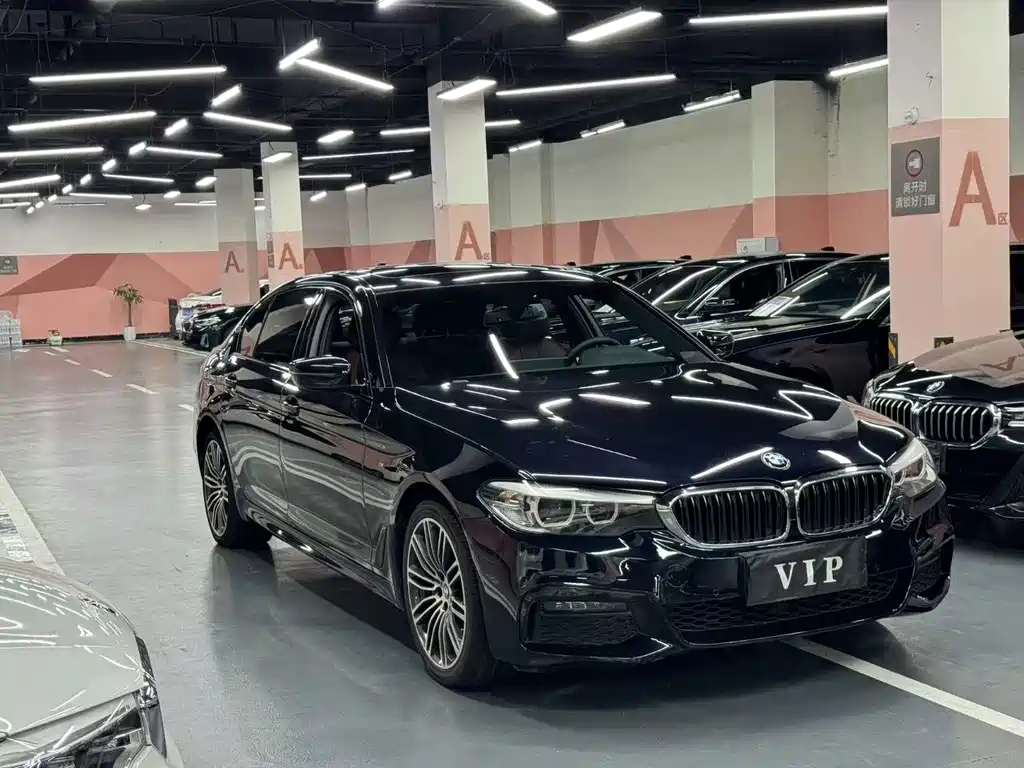 BMW 5 Series 2019