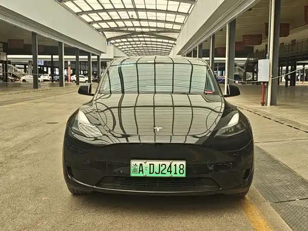 Tesla Model Y 2024