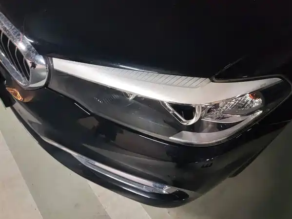 BMW 5 Series New Energy 2018