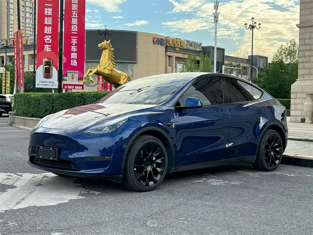 Tesla Model Y 2021 — фото 1