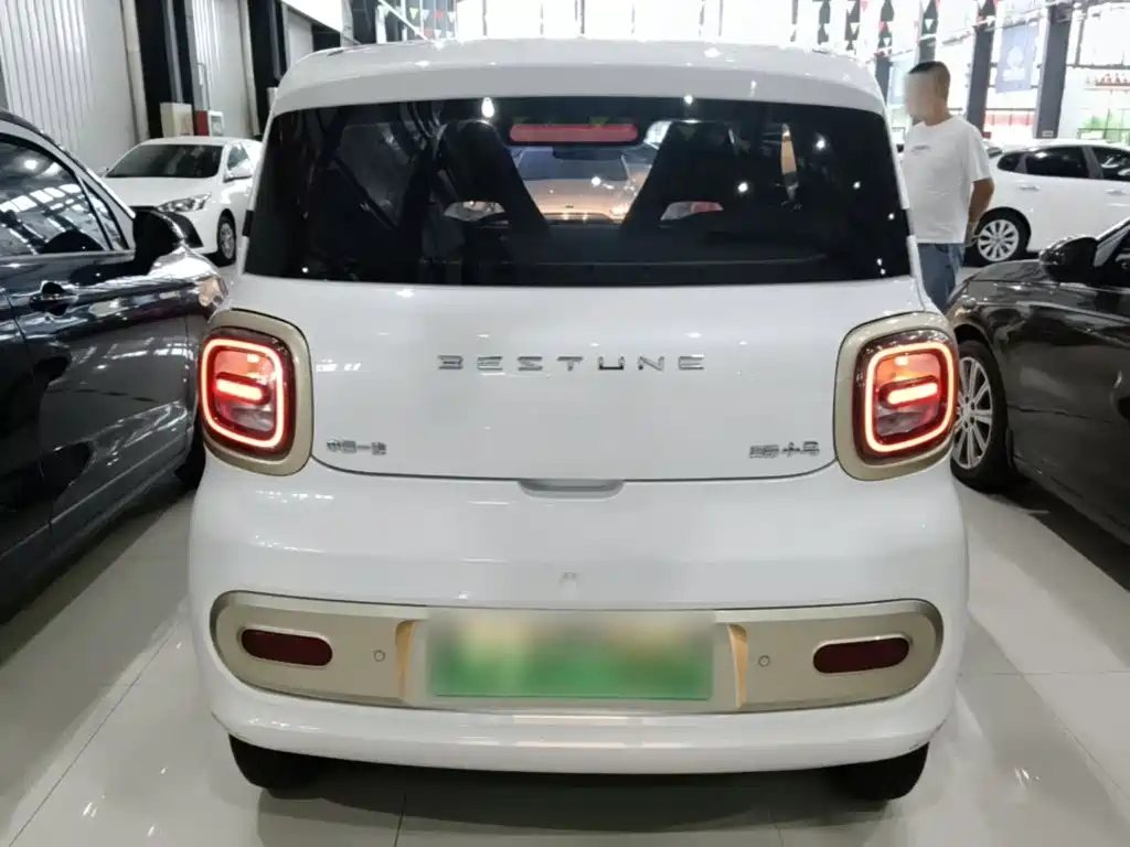Bestune Pony 2024