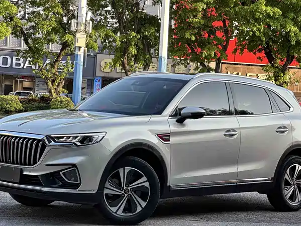 Hongqi HS5 2020