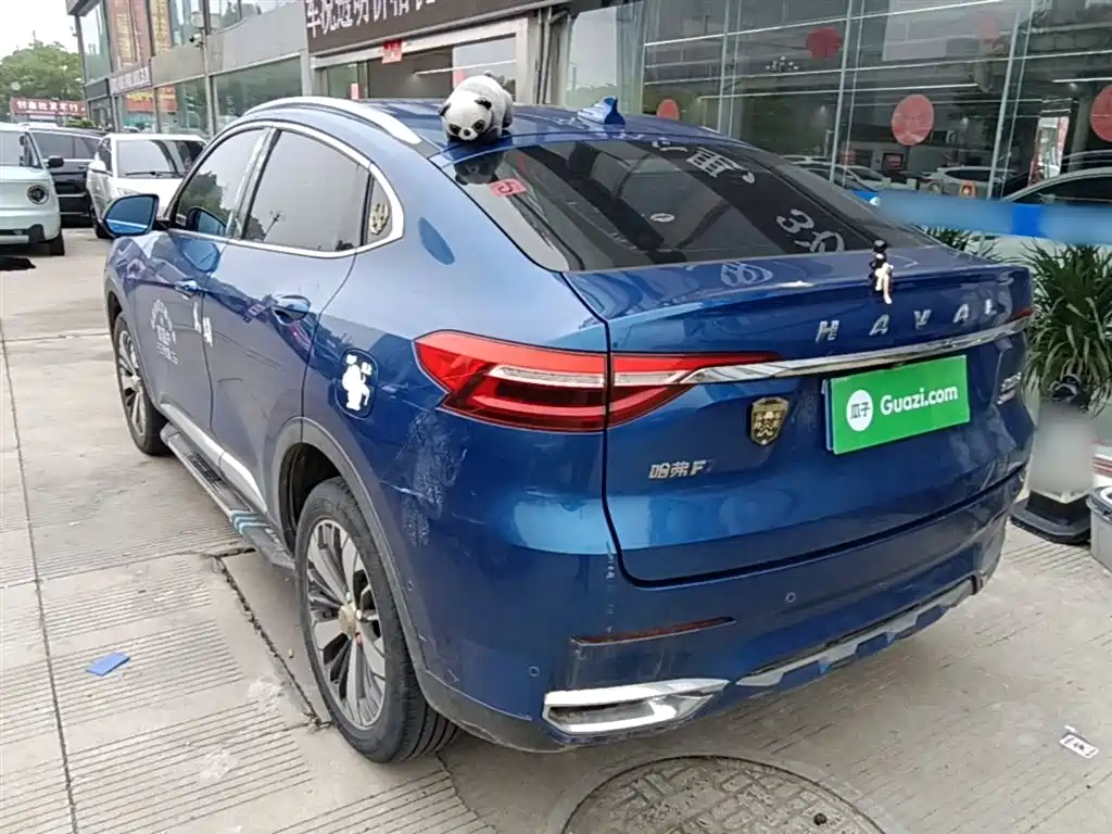Haval F7x 2020 — фото 5