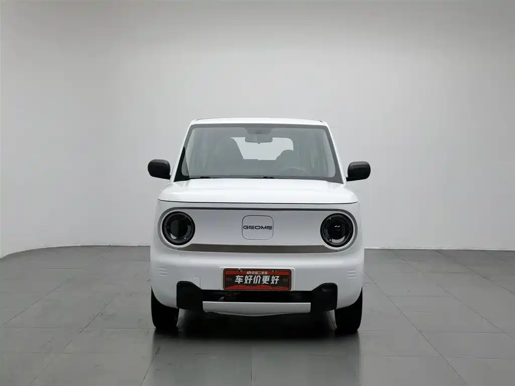 Galaxy Panda 2023