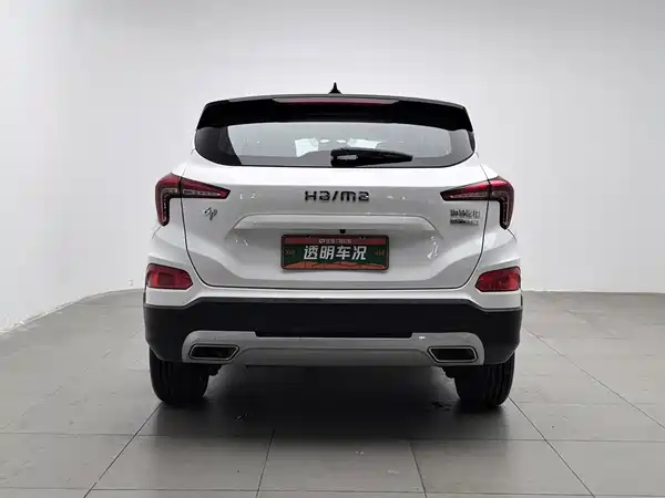 Haima seahorse 6P 2020