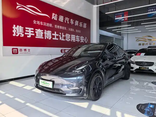 Tesla Model Y 2024