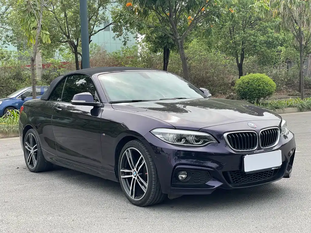 BMW 2 Series 2019 — фото 16