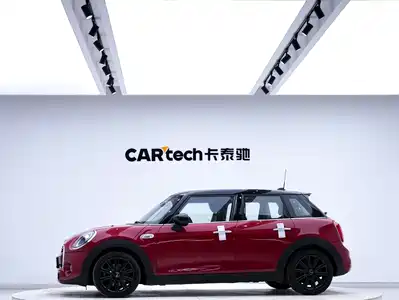 MINI MINI 2019