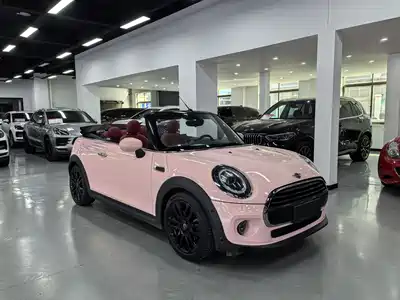 MINI MINI 2018