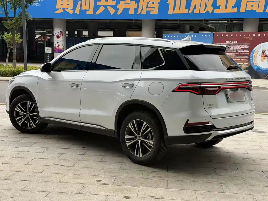 BYD Pro New Energy 2022 — фото 6