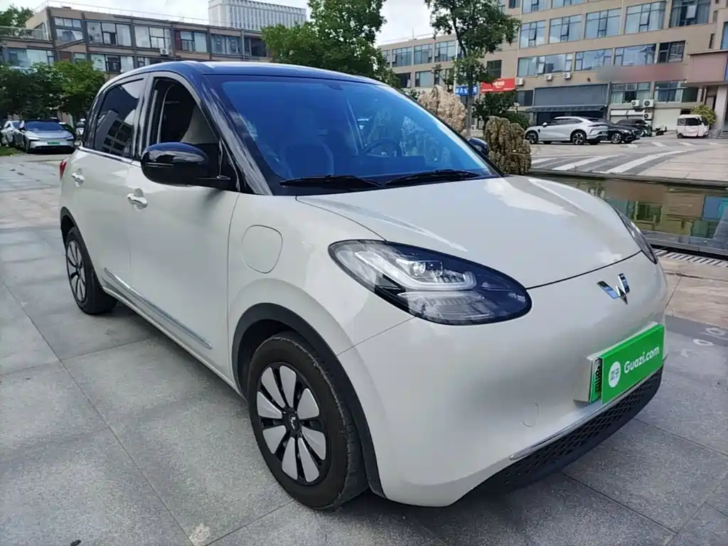 Wuling Bingo 2024