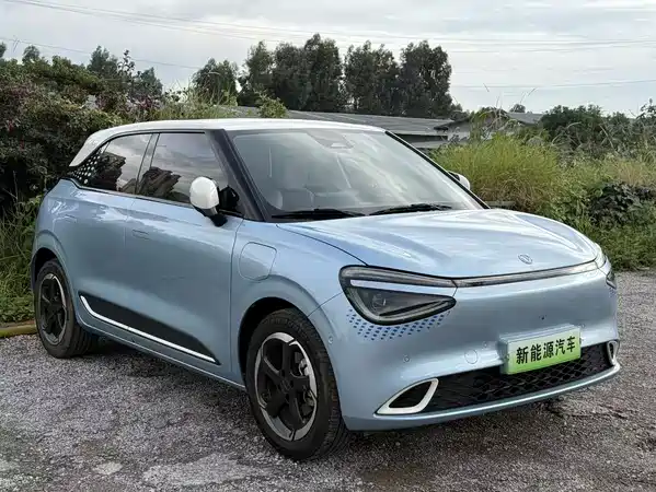 Dongfeng Nano 01 2024