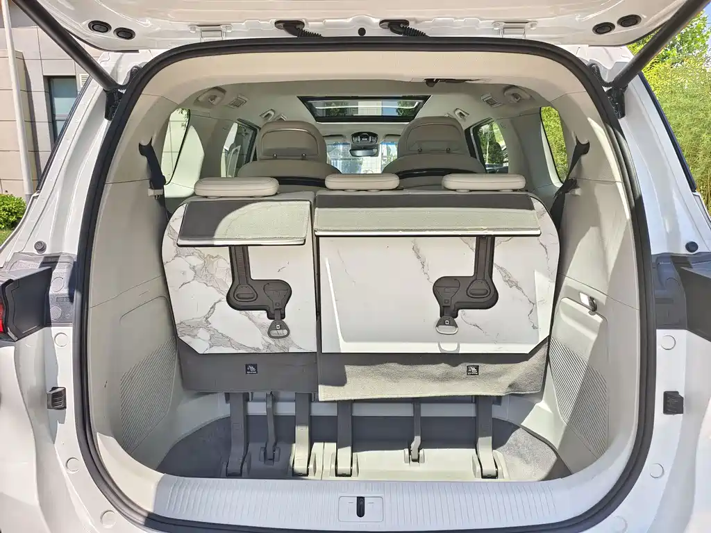 Dongfeng Forthing Xinghai V9 2024 — фото 16
