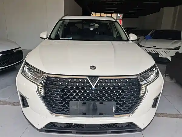 Venucia Star 2021