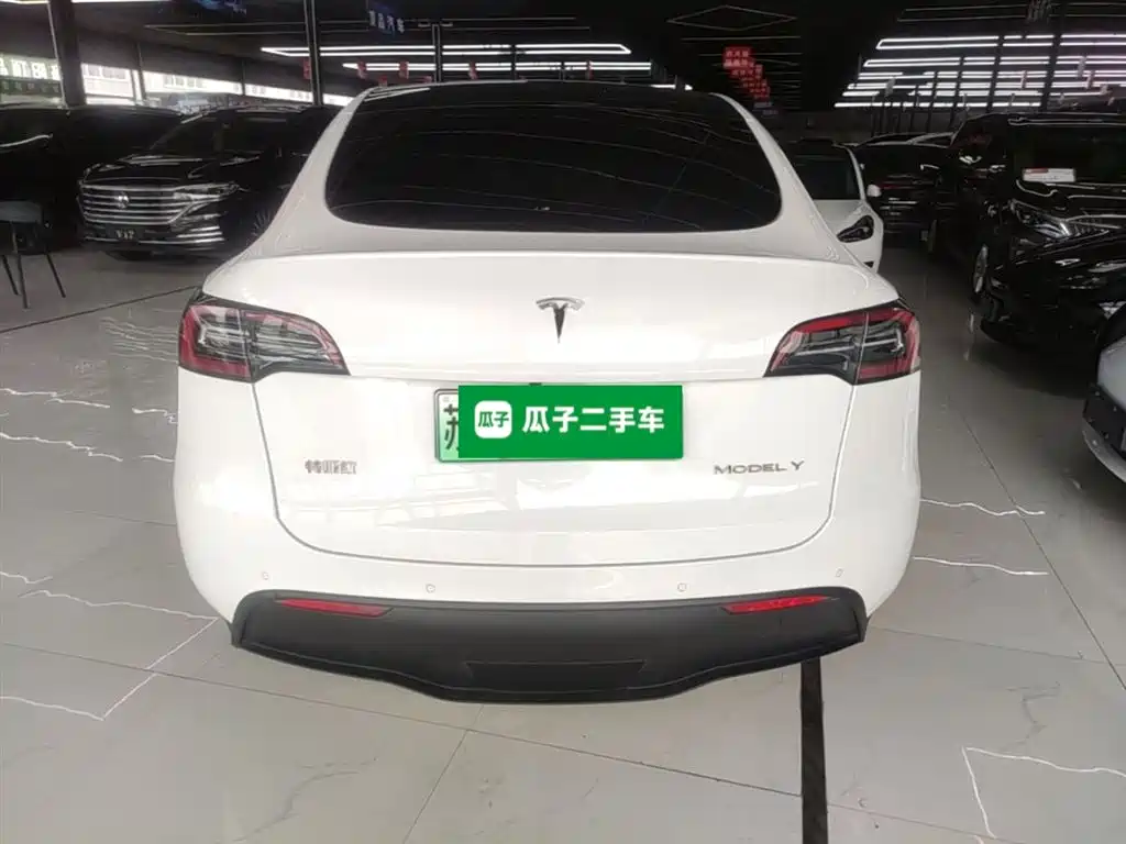 Tesla Model Y 2023 — фото 6