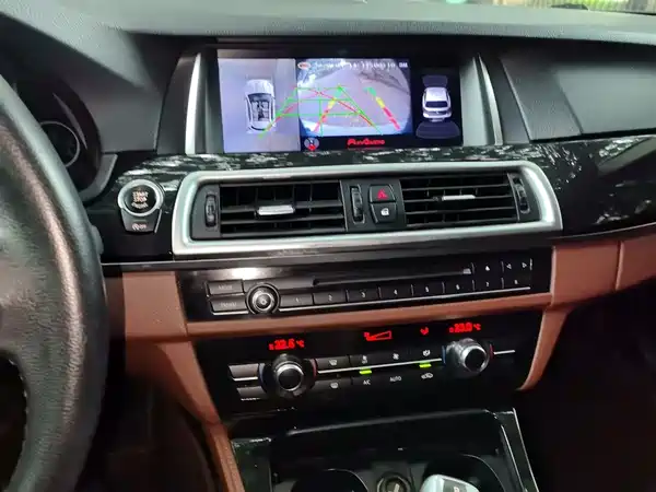 BMW 5 Series 2014
