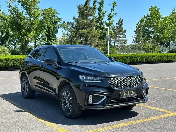 Wey VV5 2021