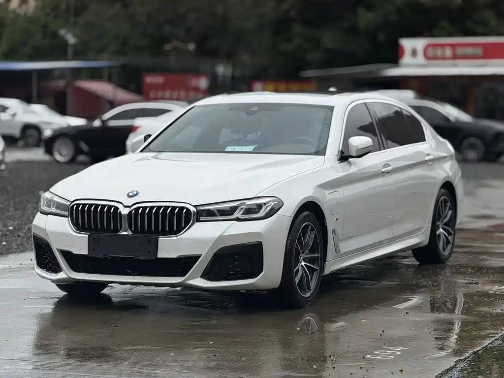 BMW 5 Series New Energy 2020
