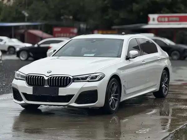 BMW 5 Series New Energy 2020