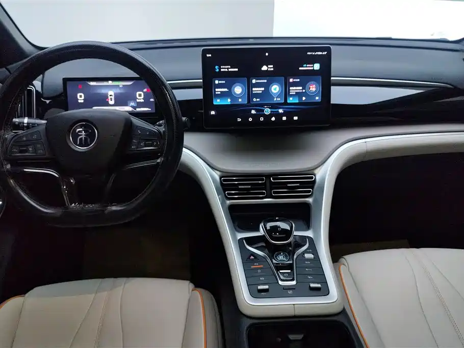 BYD Pro New Energy 2024 — фото 12