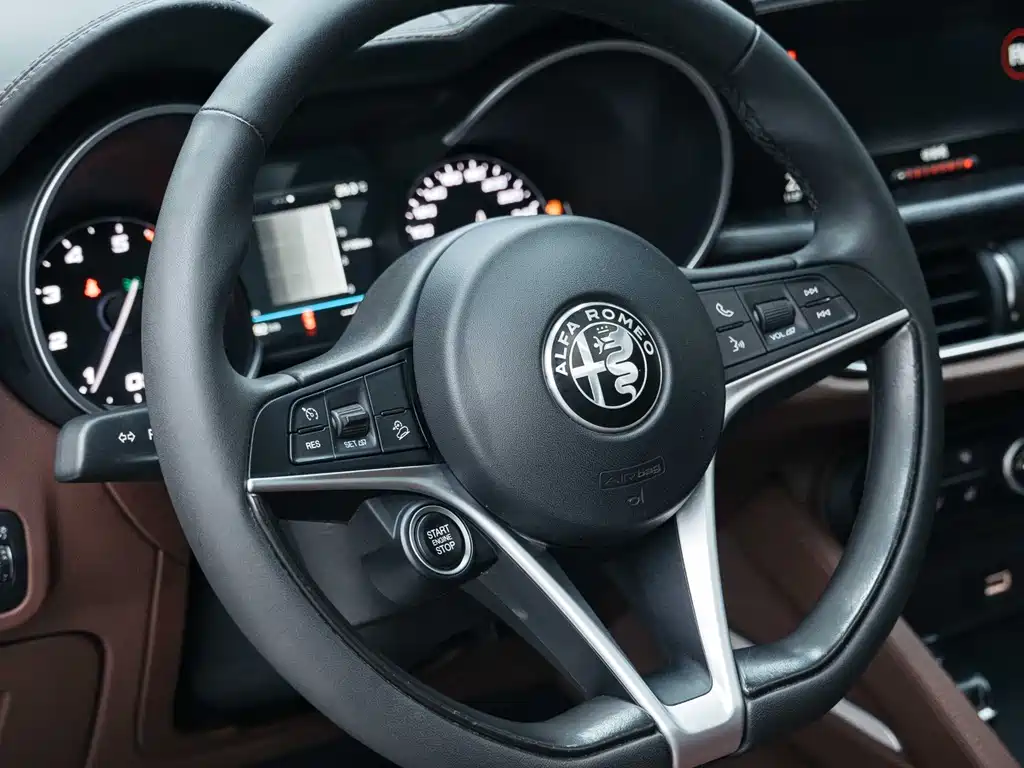 Alfa Romeo Stelvio 2019 — фото 16