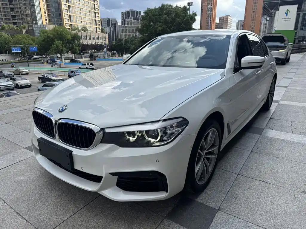 BMW 5 Series 2019