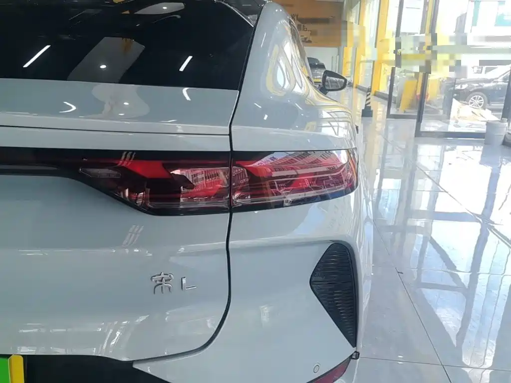 BYD Song L EV 2024 — фото 8