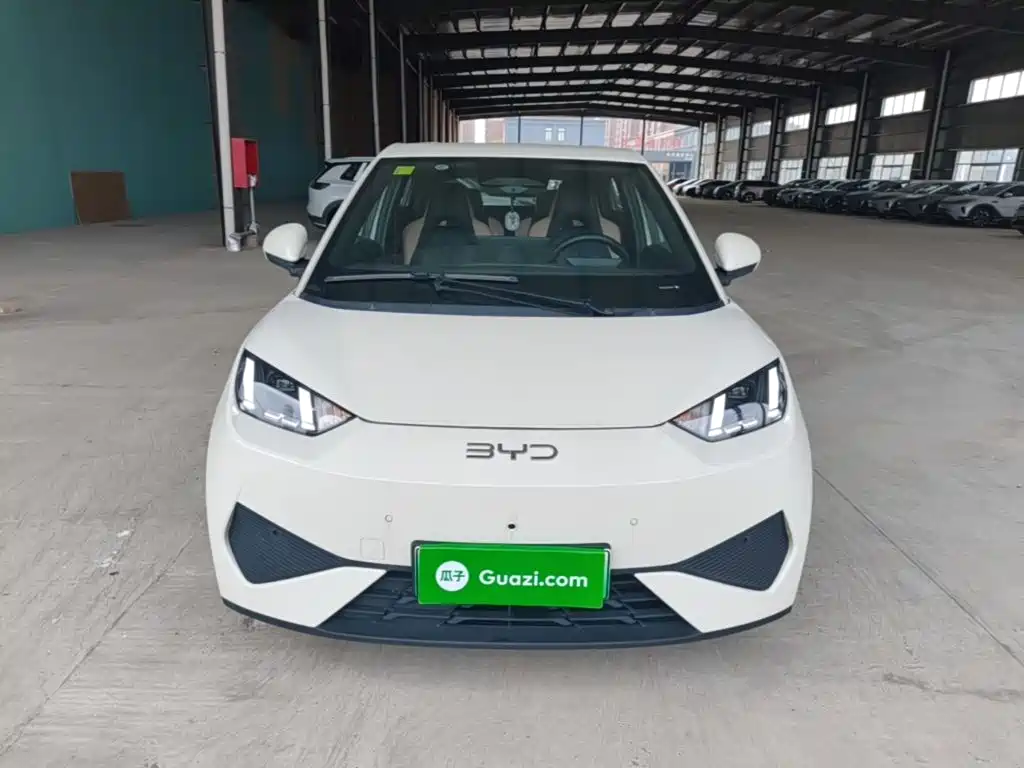 BYD Seagull 2025