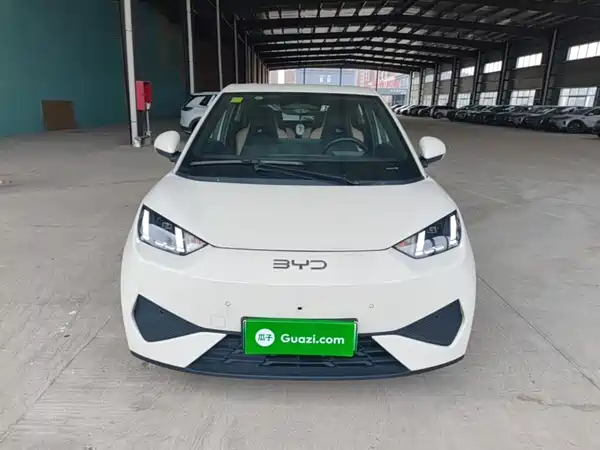 BYD Seagull 2025