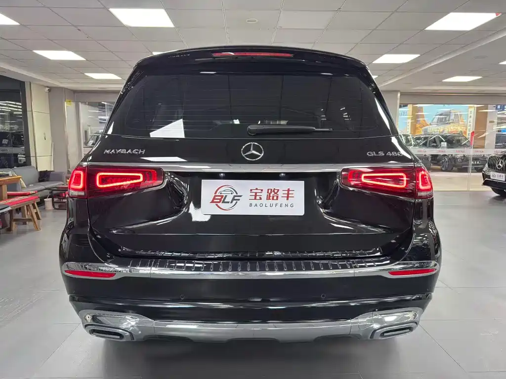 Mercedes-Benz GLS 2023 — фото 16