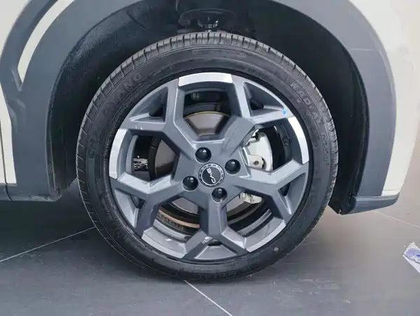 BYD Seagull 2025