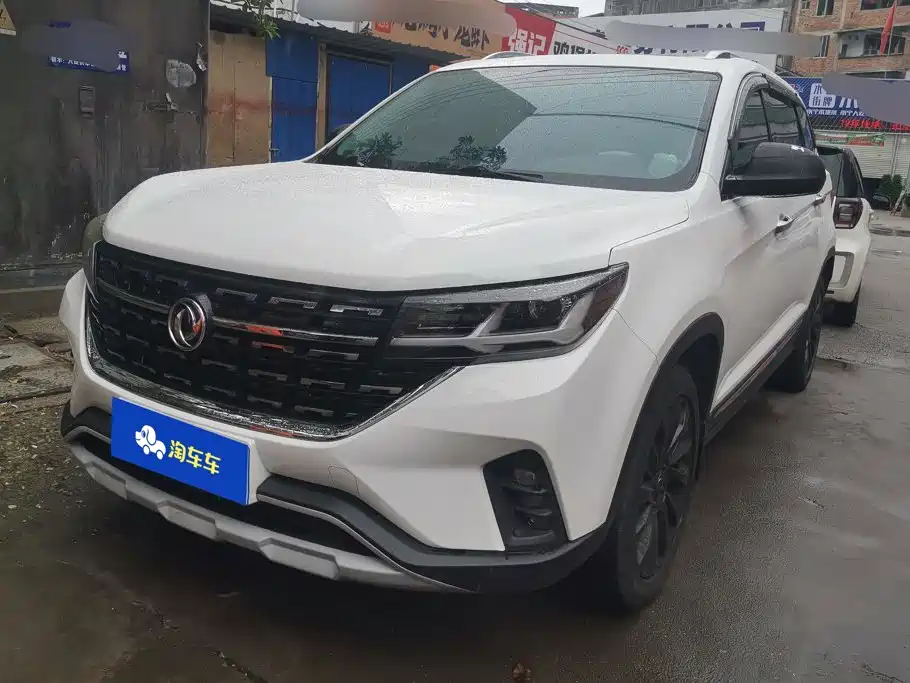 Fengxing T5 2019