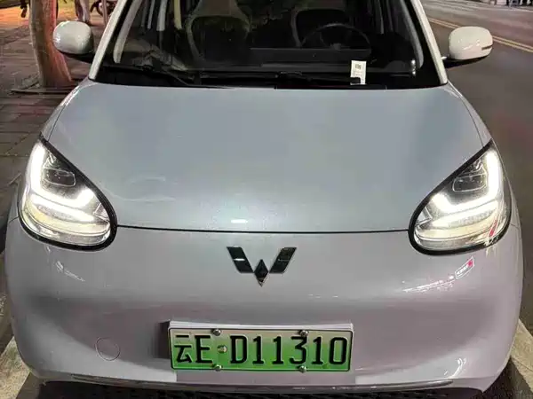Wuling Bingo 2024