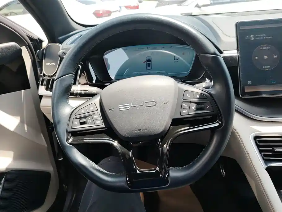 BYD PLUS New Energy 2023 — фото 15