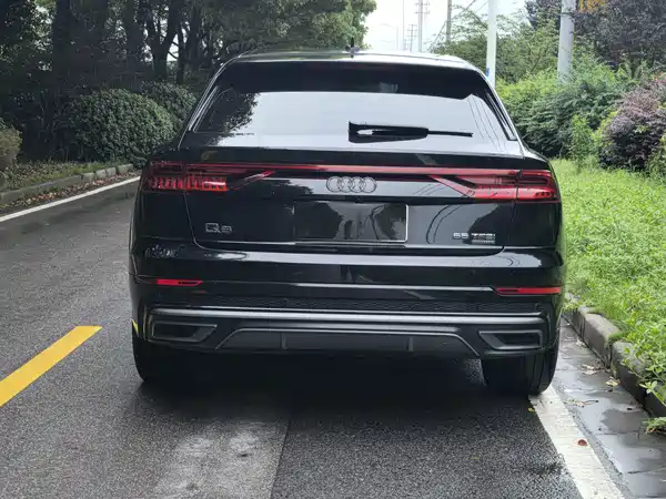 Audi Q8 2021