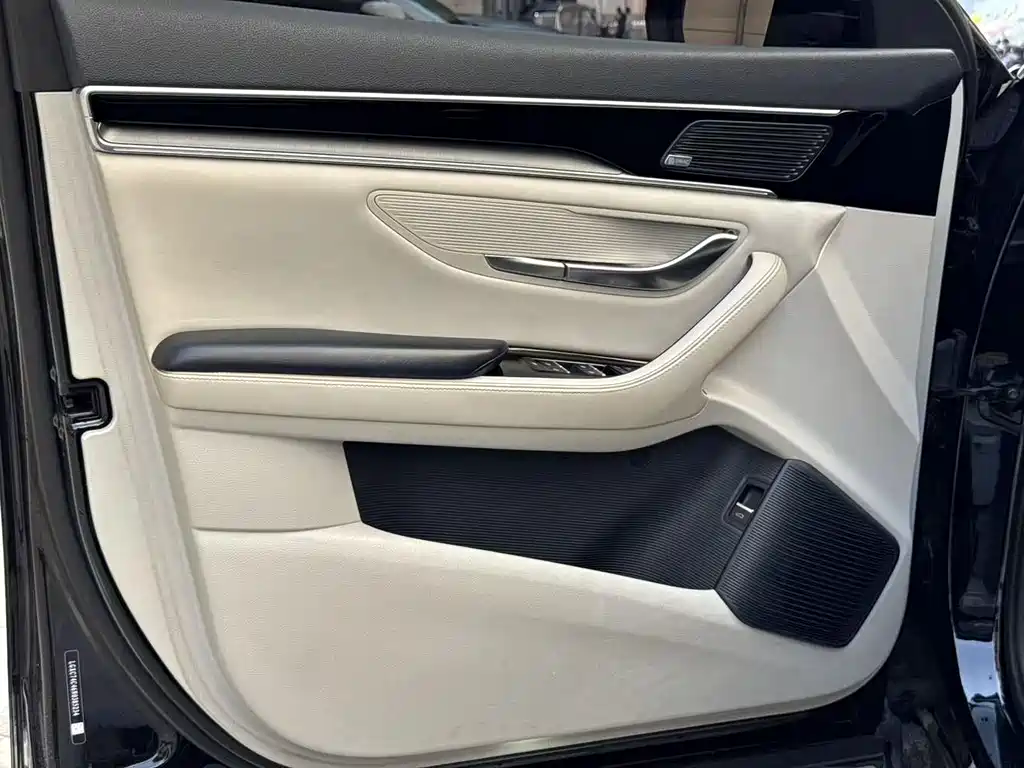 BYD PLUS New Energy 2022 — фото 4