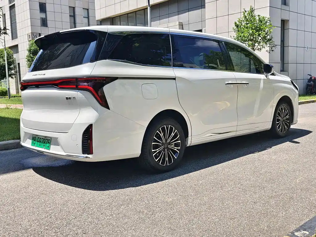Dongfeng Forthing Xinghai V9 2024 — фото 22