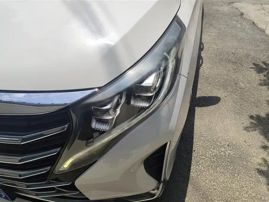 GAC Motor Trumpchi M8 2020 — фото 5
