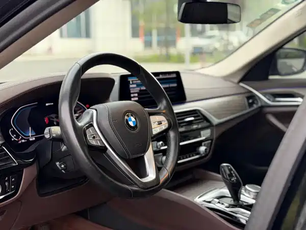 BMW 5 Series New Energy 2020