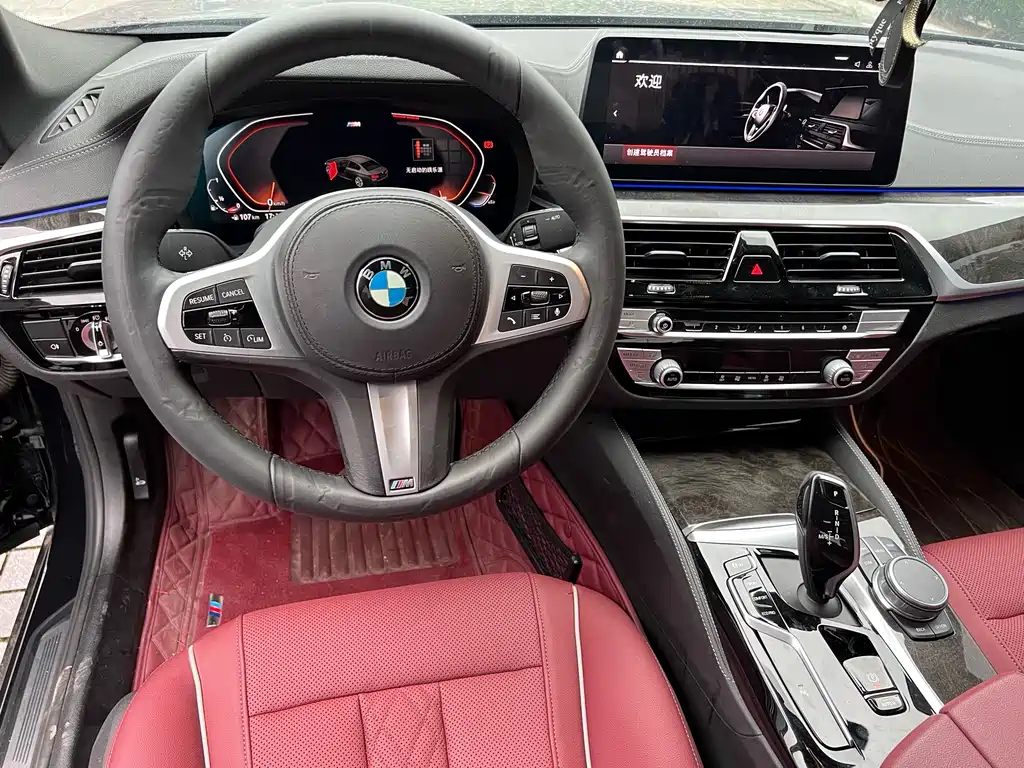 BMW 5 Series 2020 — фото 9