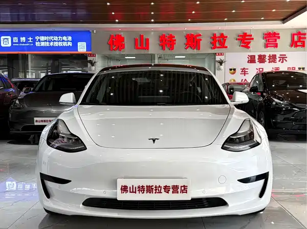 Tesla Model 3 2019