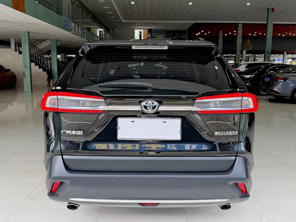 Toyota Wildlander 2024 — фото 14
