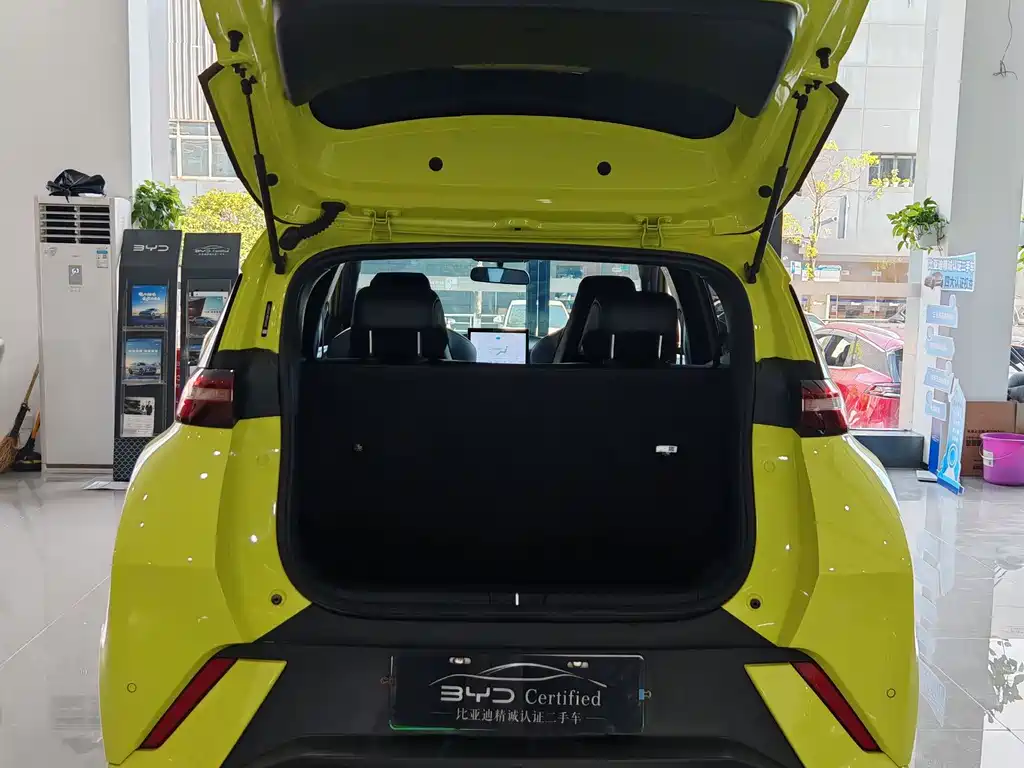 BYD Seagull 2024