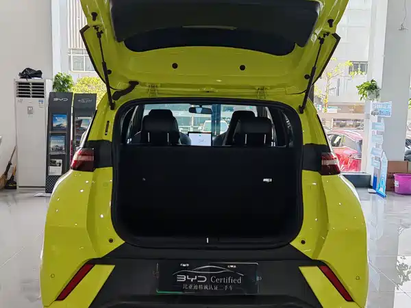 BYD Seagull 2024
