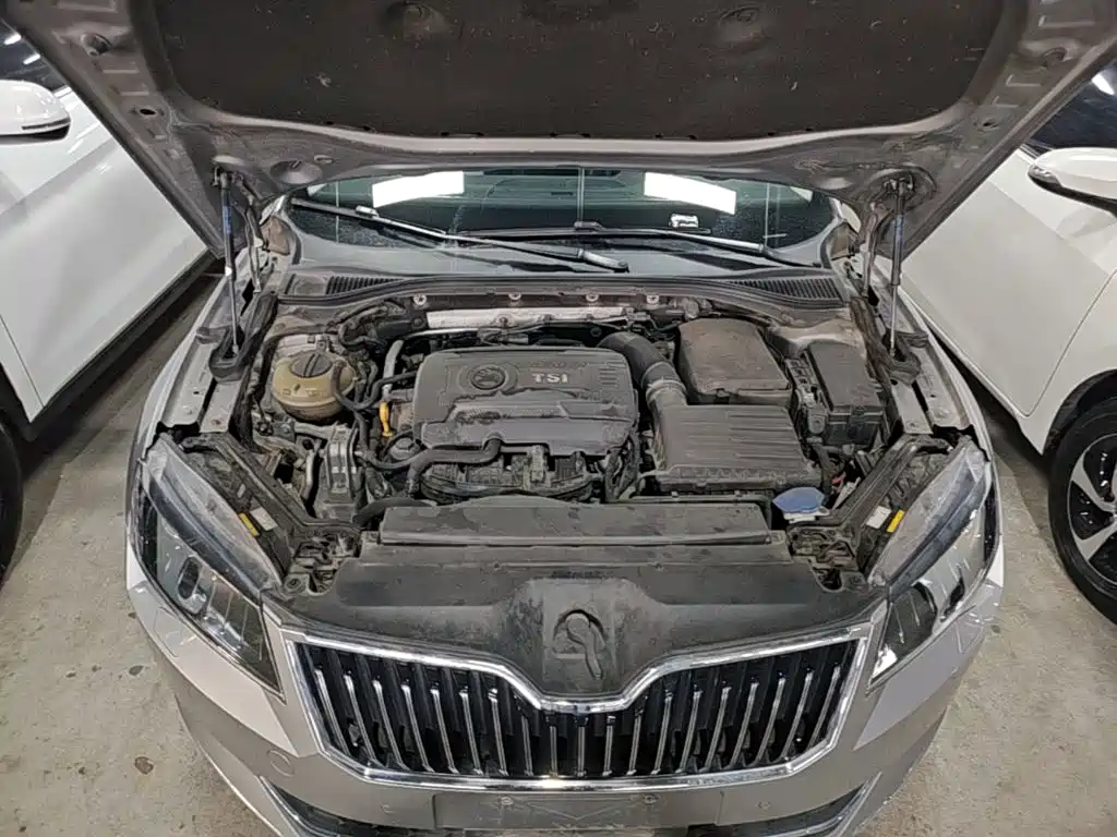 Skoda Speedy 2018 — фото 20