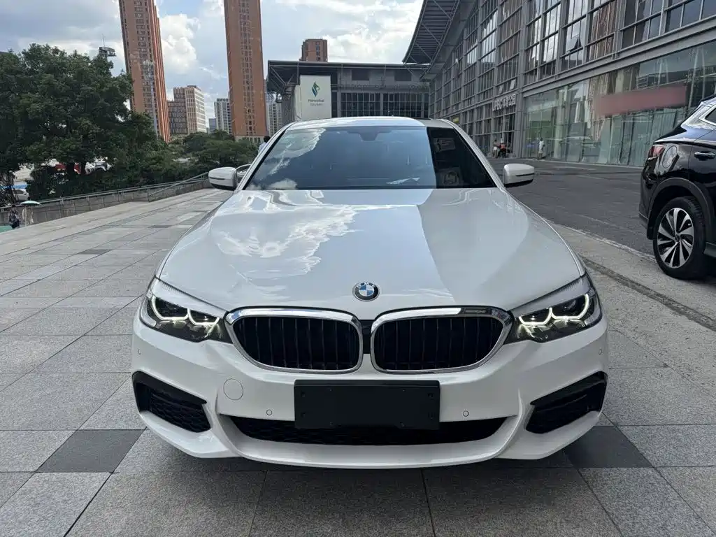 BMW 5 Series 2019
