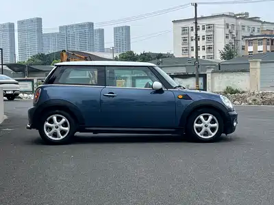 MINI MINI 2010