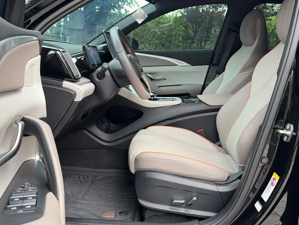 BYD Song Pro New Energy 2024 — фото 12