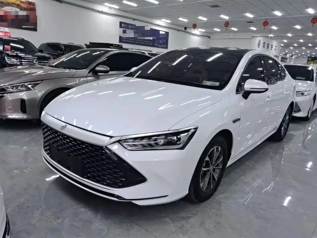BYD Qin PLUS 2023 — фото 1